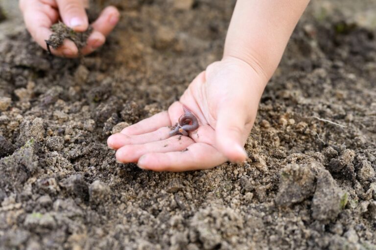 How to maintain correct moisture levels in your Worm Bin - Green Living ...